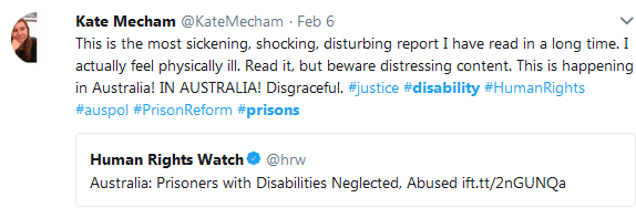 disability HRW 3